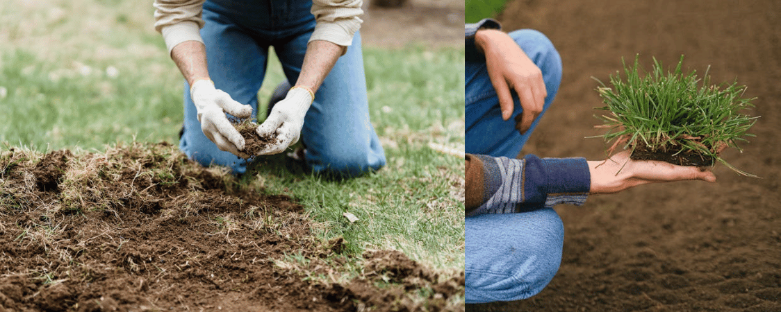 Vertikutace trávníku